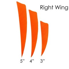 Zshjgjr 50Pcs 3 4 5 Shield Cut Archery Fletches Arrow Feathers Turkey Feather