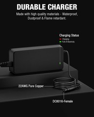53.6V 2A Adapter Charger for Segway Ninebot GT3, Max G3, ZT3 Pro, F3, and F3 Pro
