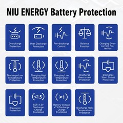 NIU KQi1 Pro Electric Scooter 250W Power, 15.5 Miles Range, Portable