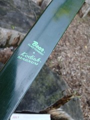 Vintage Bear Archery Kodiak Magnum recurve 55# 1973-75