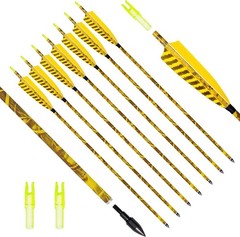 Carbon Practice Arrows 31″ for Compound Bow