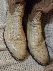 Frye Women’s Western Boots US 10B Beige Embossed Leather