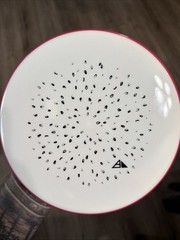 MVP Axiom Dragonfruit Pitch 160g