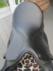 16.5» Med Wintec 250 Adjustable English A/P Saddle, Wintec Webbers & compositi