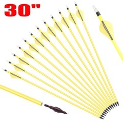 12Pcs 30 Inch Archery Carbon Arrows OD 7.8mm Archery for Compound/Recurve Bow