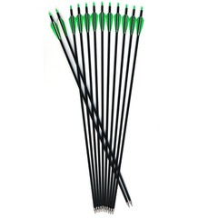 12pcs Archery 30″ inch Carbon Arrows SP500 Outdoor Bow Hunting Practice Target