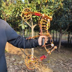 Archery Compound Bow Kit 30-60lbs Dual-use Short Axis Hunting Target RHLH