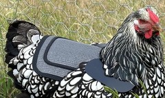 Chicken Saddle with Adjustable Straps – Grey Mesh