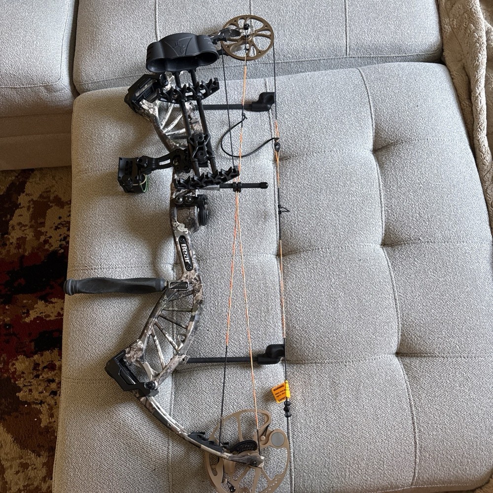bear paradox compound bow