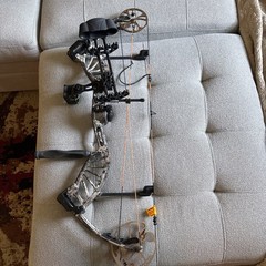 bear paradox compound bow