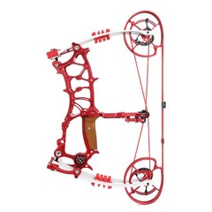 Archery Compound Bow Kit Hunting Bowfishing Target Practice 30-75lbs Adjustable
