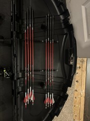 PSE Brute NXT compound bow