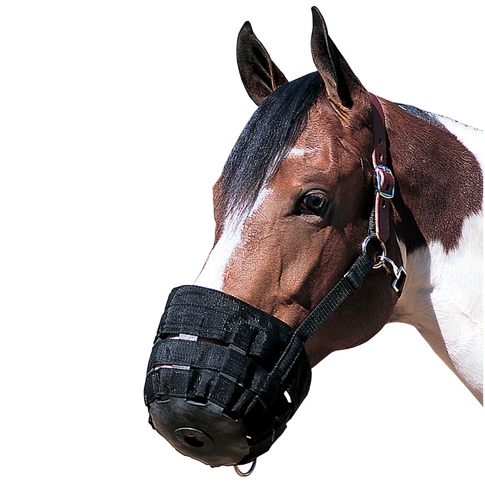 67WL Average Horse Weaver Nylon Rubber Lined Grazing Muzzle W/ Leather Crown