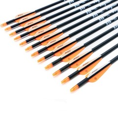 TIGER ARCHERY 30Inch Carbon Arrow Practice Hunting Arrows with Removable Tips