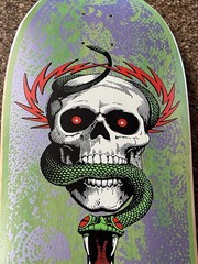 1980’s Powell Peralta Mike McGill skateboard deck Tribute
