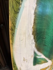 Sector 9 Nine Bamboo 41.5” Longboard – Gullwing Charger Trucks Used See Pics