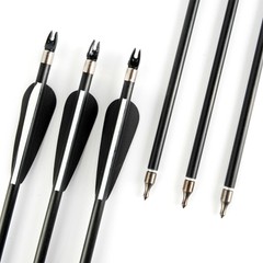12PCS 30inch Fiberglass Arrows Spine 500 For Compound & Recurve Bows Hunting