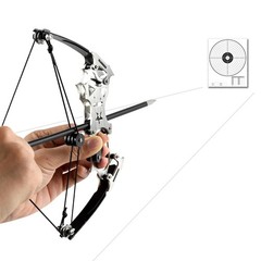 Archery Bow Set Compound Bow Hunting Bow Metal Material Catapult RH/LH for Hu…