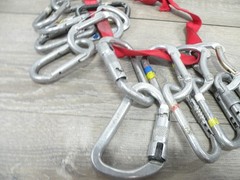 Lot of 16 Vintage Climbing Carabiners Mixed Black Diamond Kong D-Shape Screwgate