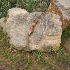 TOPARCHERY 60» Archery Recurve Bow Wooden Bow for Right Hand Target Hunting