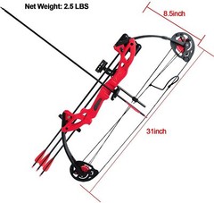 Compound Bow Set 15-29lbs Arrows Archery Hunting Equipment for Teens Kids 260fps