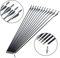 12 Pcs 30″ Fiberglass Arrows Archery OD 8mm For Recurve/Compound bow Hunting US