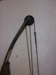 Bear Archery Black Bear Compound Bow