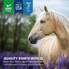 Equa Holistics HealthyGut™ Probiotics for Horses Dietary Supplement, All-Nat…