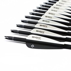 30″ Carbon Arrow Practice Hunting Arrows W/Tips For Compound,Recurve Bow Pack 12
