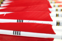 TTFLY FLETCHING 12PCS Red Turkey Feather 31 Inches Carbon Arrows Tips Targeting