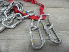 Lot of 16 Vintage Climbing Carabiners Mixed Black Diamond Kong D-Shape Screwgate