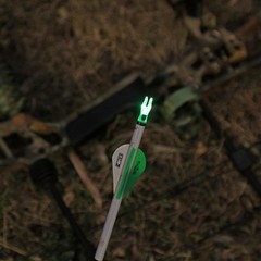 DEEPOWER S Lighted Nocks for Arrows .244/6.2mm 6/12 Pack Lighted Arrow Nocks …