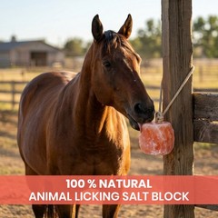 Salt Lick Himalayan Pink Salt Lick Block 5-6lb For Horses Deer & Animals 1 to 12
