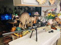 WINCHESTER 1400CS PELLET RIFLE / TPO SCOPE