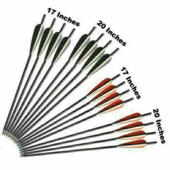 12Pcs 17″/20″/22″ Carbon Arrows OD 8.8mm Crossbow Bolts or Quiver Target Hunting