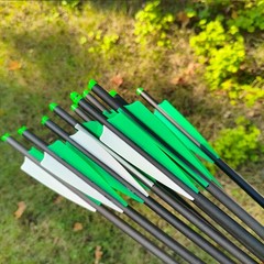 20Inch Carbon Arrows Crossbow Bolts Crossbow Arrows 100 Grain Hunting Broadheads