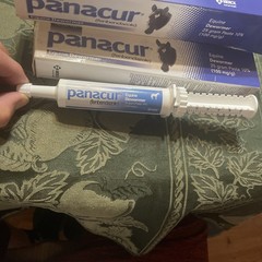 Panacur Equine Horse Dewormer 25 gram Paste 10% PACK OF 3