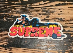 Supreme Catwoman Sticker FW22 + FREE SURPRISE