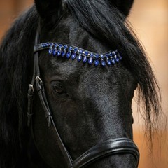 Royal Blue Crystal Horse Browband – Rhinestone Fringe Bling Bridle Headpiece