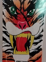 TA by Dorsa Sports Animal Print Skateboard, Muilti-color