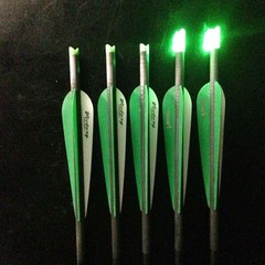 12x Crossbow Bolts Carbon Shafts ID 7.6mm /Lighted nocks Set for Archery Hunting
