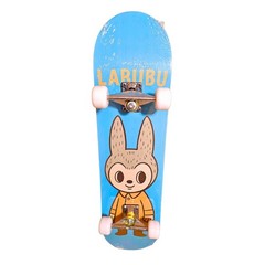 LIMITED EDITION POPULAR CHARACTER SKATEBOARD, KIDS CHARACTER SKATEBOARD