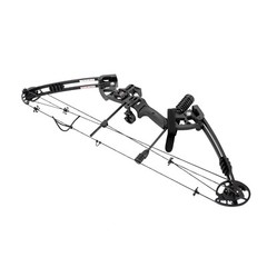 Compound Bow Recurve Bow w/ 12x Arrows Set Right Hand for Adult Hunting Training