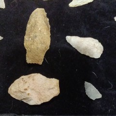 Stone Arrowhead Points Lot w/ Display Case, Multicolor – Hunting Archery