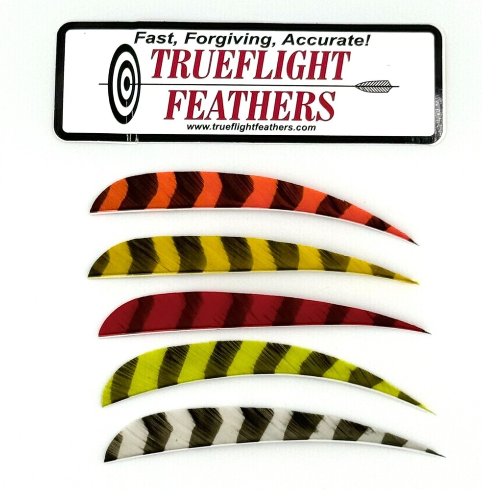 Trueflight Parabolic Cut Feathers – 5 inch – Barred Colors