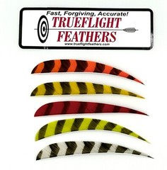 Trueflight Parabolic Cut Feathers – 5 inch – Barred Colors