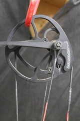 Hoyt Charger Vicxen – RH – 27″ – 40# – Advantage Max-1 – Hoyt HDX – HHA Sight