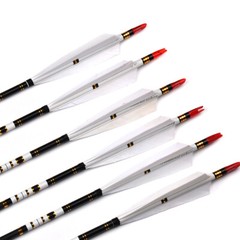 12Pcs Archery 28″/30″/32″ Carbon Arrows SP500 Hunting for Compound Recurve Bow