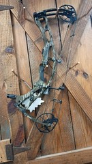 hoyt rx9