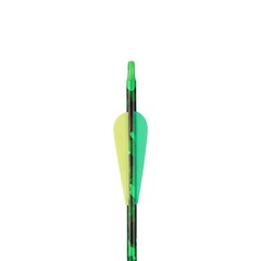 RH Compound Bow 30-70lbs IBO 310 fps & Carbon Arrows for Archery Hunting Shoot